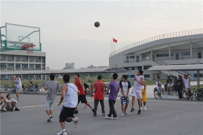 手机百家乐